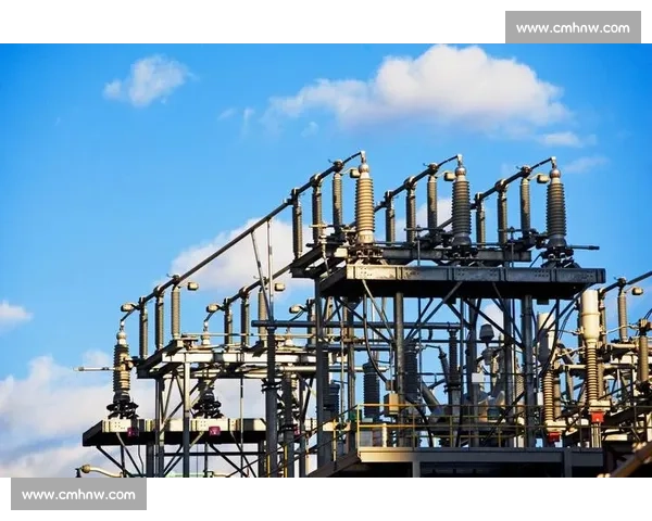 围绕违规风波引发的企业治理与监管深层反思及行业生态重塑路径探析观察与启示